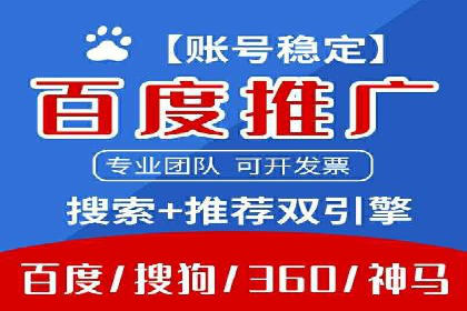 网络营销新篇章：竞价推广案例分析